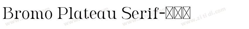 Bromo Plateau Serif字体转换